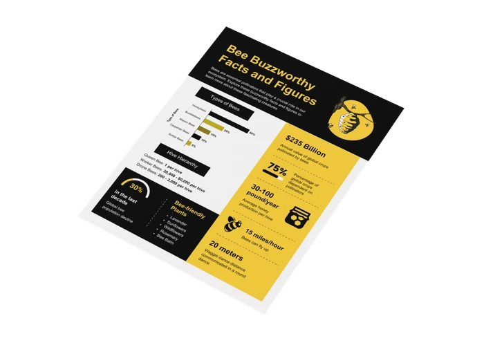 Modelos de infográficos sobre abelhas